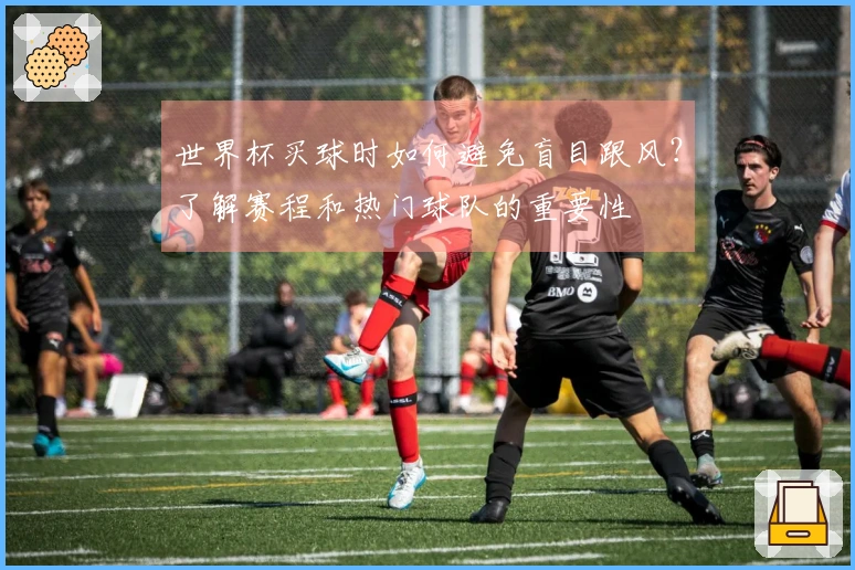 世界杯买球时如何避免盲目跟风？了解赛程和热门球队的重要性