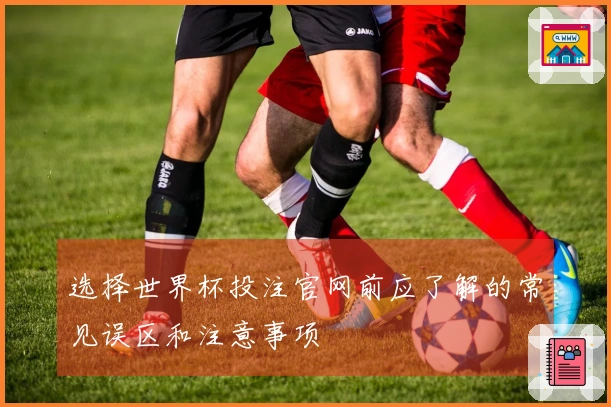 选择世界杯投注官网前应了解的常见误区和注意事项