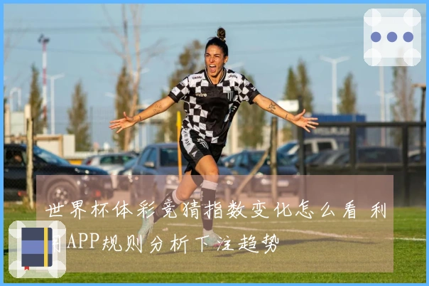 世界杯体彩竞猜指数变化怎么看 利用APP规则分析下注趋势