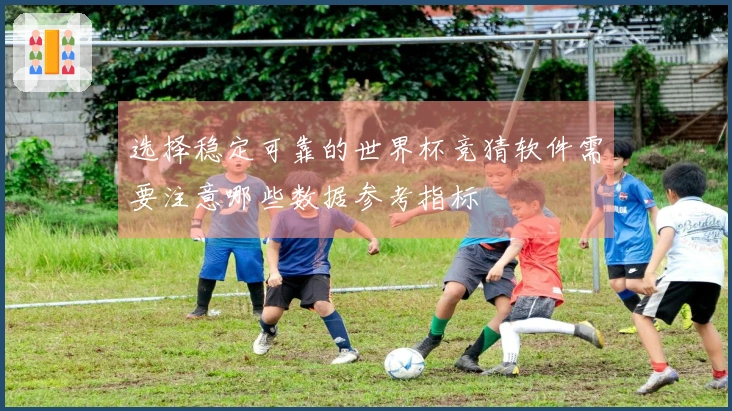 选择稳定可靠的世界杯竞猜软件需要注意哪些数据参考指标