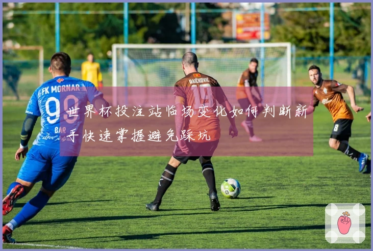 世界杯投注站临场变化如何判断新手快速掌握避免踩坑